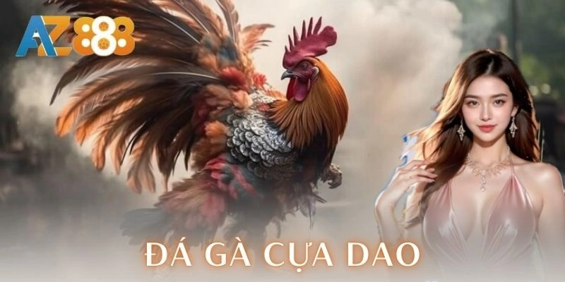 Đá gà cựa dao | Trận chiến kịch trần của dân chơi 5 Đá gà cựa dao | Trận chiến kịch trần của dân chơi