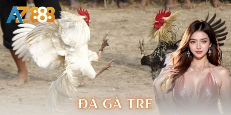 Đá gà tre - Chiến thuật và mẹo cược đỉnh cao cho anh em 3 Đá gà tre – Chiến thuật và mẹo cược đỉnh cao cho anh em