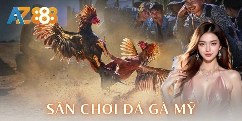 Sân chơi đá gà Mỹ - Trải nghiệm cược đỉnh cao kịch trần 1 Sân chơi đá gà Mỹ – Trải nghiệm cược đỉnh cao kịch trần